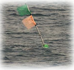 A fishing put buoy at sea